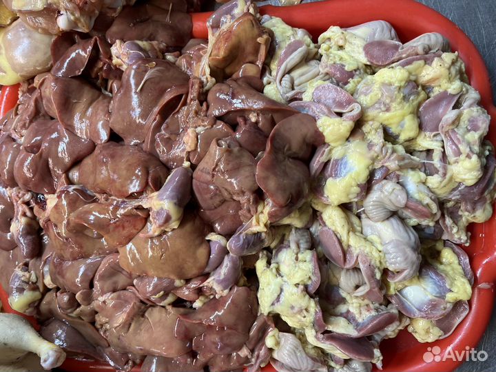 Куры опт