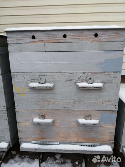 20 рамочные ульи Дадан