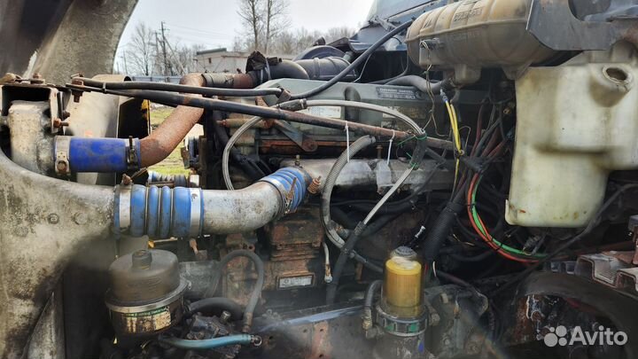Freightliner в разбор