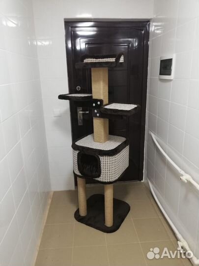 Когтеточка для кошек