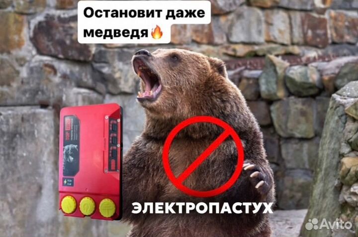 Электропастух от диких животных