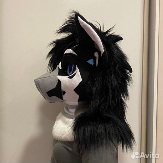 Фурсьют кот