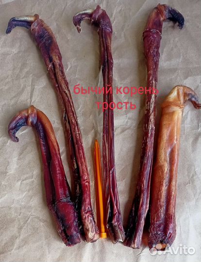 Лакомства для собак