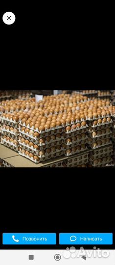 Яйцо куриное С0