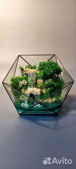 Моссариум, флорариум