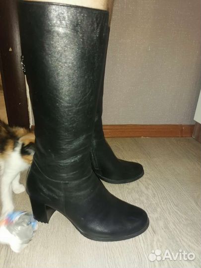 Сапоги, ботинки, туфли женские