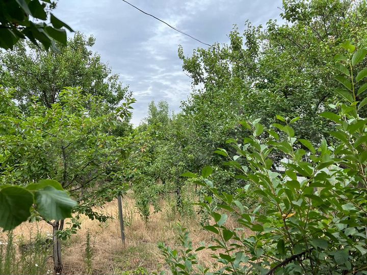 Дача 37 м² на участке 5 сот.