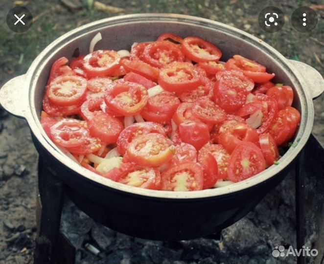 Шашлычник на выезд