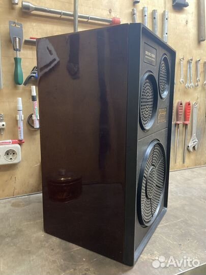 Корпус аккустической системы 25ас-309