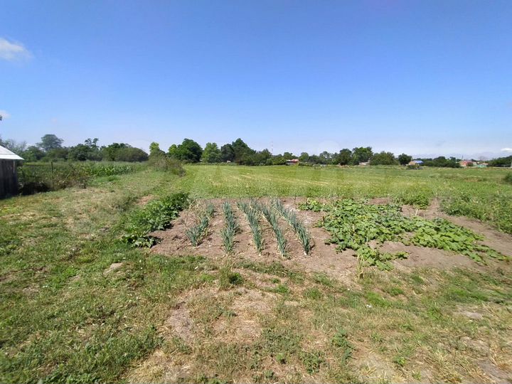 Дом 60 м² на участке 30,9 сот.