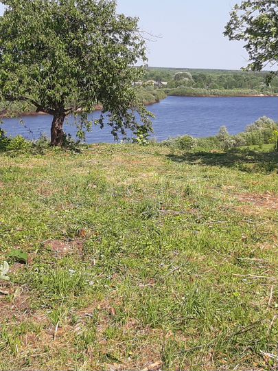 Дом 50 м² на участке 12 сот.