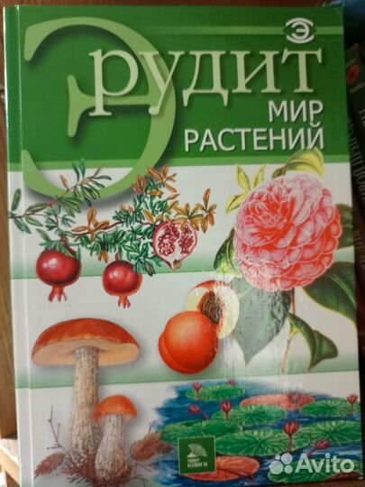 Серия книг 