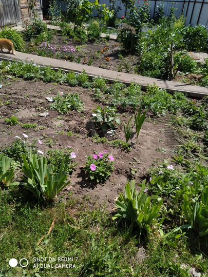 2-к. квартира, 34,3 м², 1/2 эт.