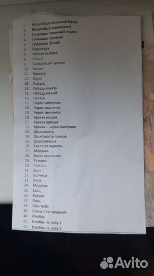 Электронный манок Беркут