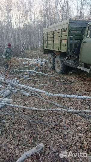 Выпилка деревьев