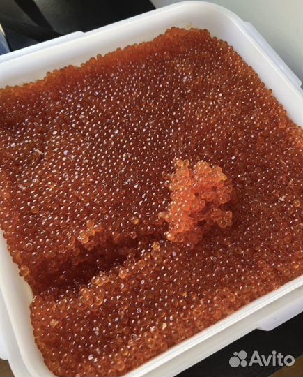 Икра красная 2023 премиум