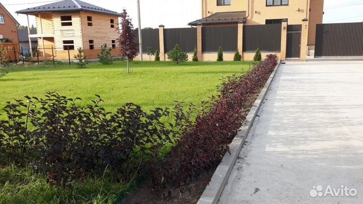 Газон под ключ, выравнивание участка