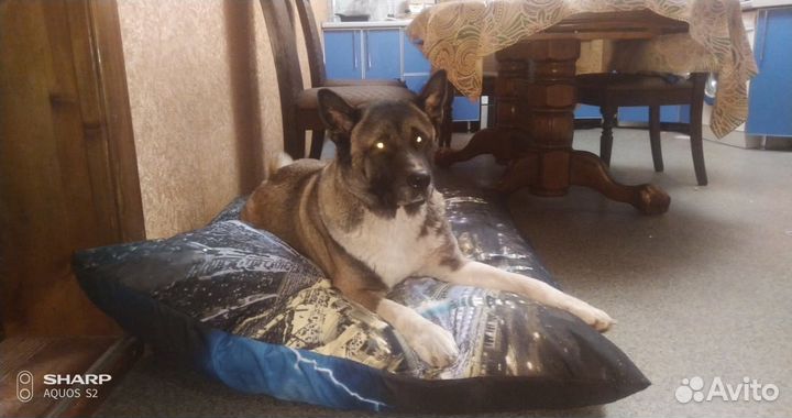 Лежанка-подушка для собак и кошек