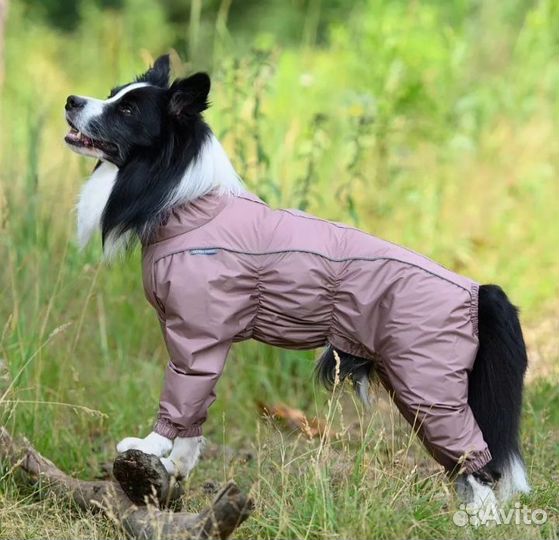 Комбинезон дождевик для собак(кобель),р.45-2 Новый