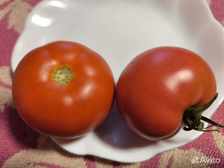 Помидоры свежие