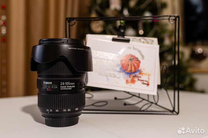 Canon EF 24 105mm f 4L IS II USM