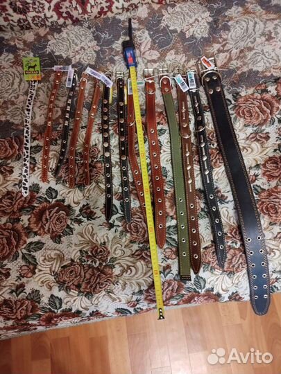 Зоотовары, ошейники, миски, игрушки, вет паспорта