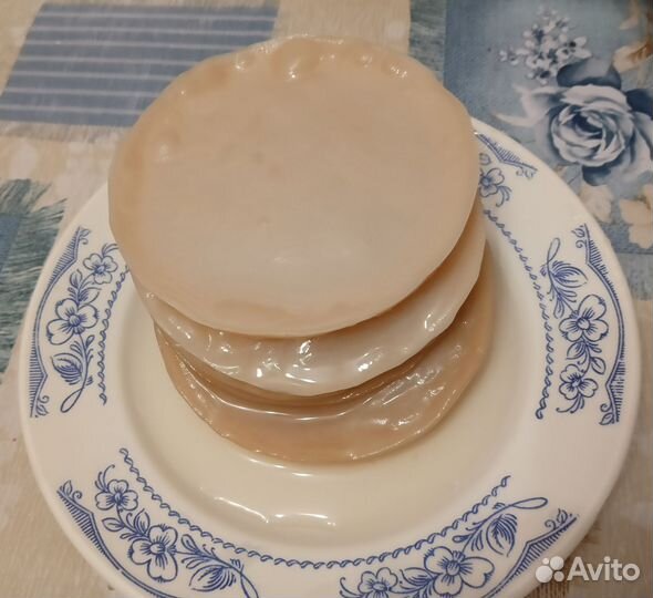 Чайный гриб мини, комбуча