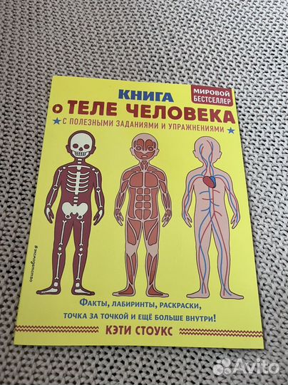 О теле человека