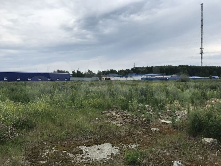 Участок 56 сот. (промназначения)