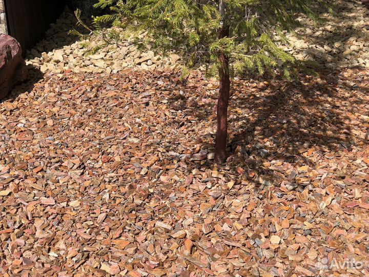 Кора лиственницы