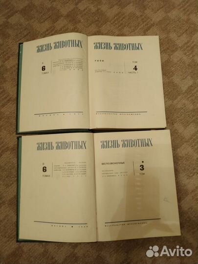 Жизнь животных