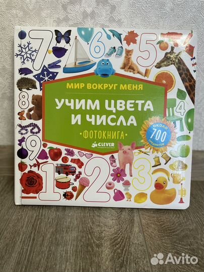 Мир вокруг меня. Учим цвета и числа. Клевер