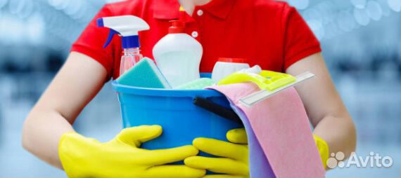 Уборщица (315-323)