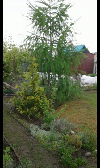 Дача 37,7 м² на участке 4 сот.