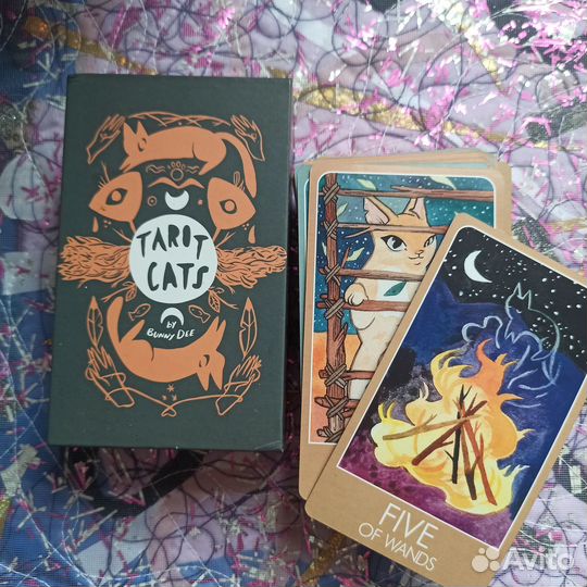 Tarot cats