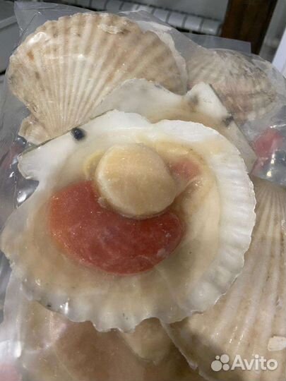 Морской гребешок Гигант 1кг