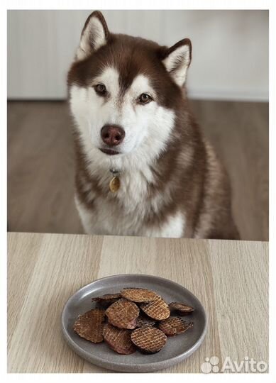 Лакомства для собак, субпродукты