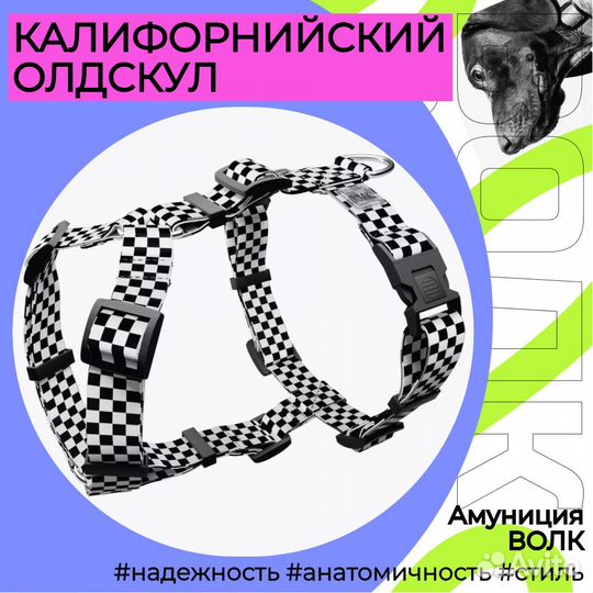 Шлейка для собак Калифорнийский Олдскул