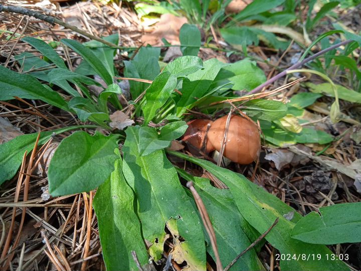 Гараж, 24 м²