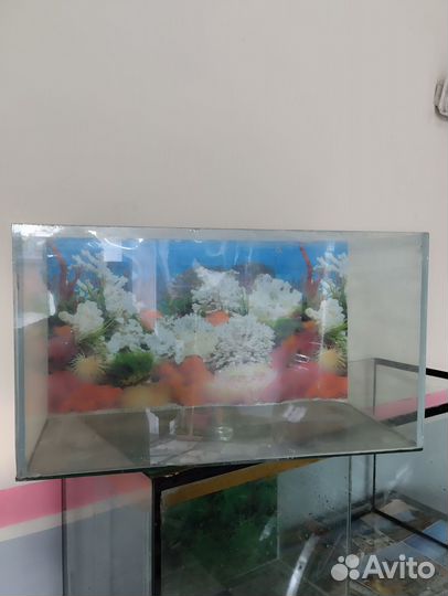 Аквариум