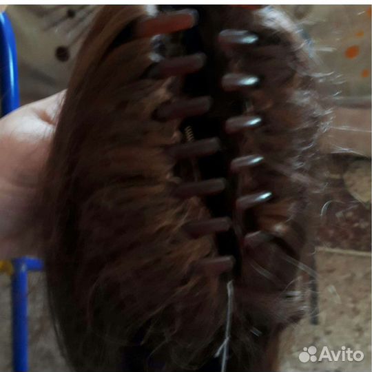 Паришиньен хвост