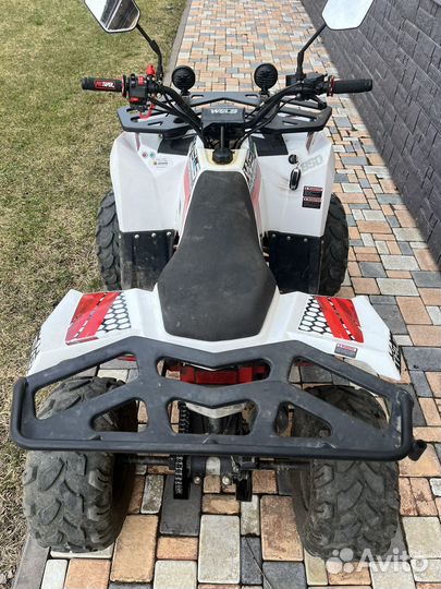 Wels thunder evo 125