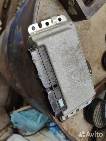 Эбу январь 7.2 8 клоп Классика