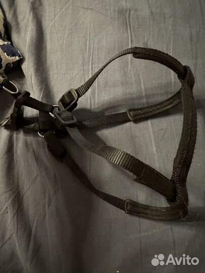 Шлейка для собаки