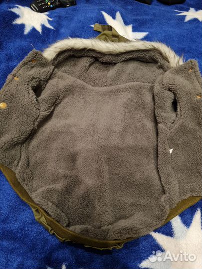 Одежда для собак