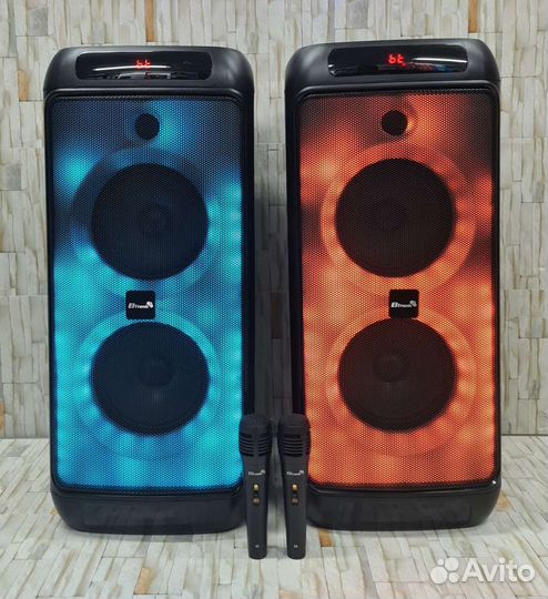 Колонка Eltronic 20-08