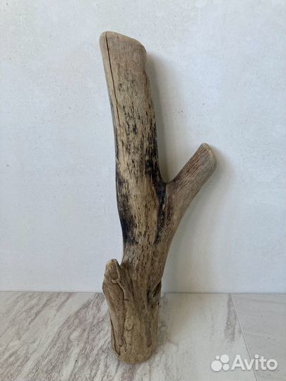Коряги морские дрифтвуд поштучно