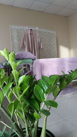 Свободного назначения, 24 м²