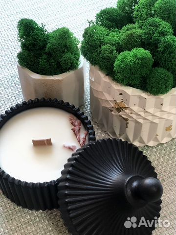 Кашпо со мхом/стабилизированный мох/декор