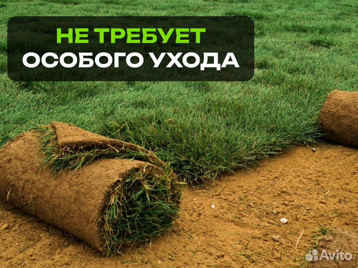 Рулонный газон. От производителя